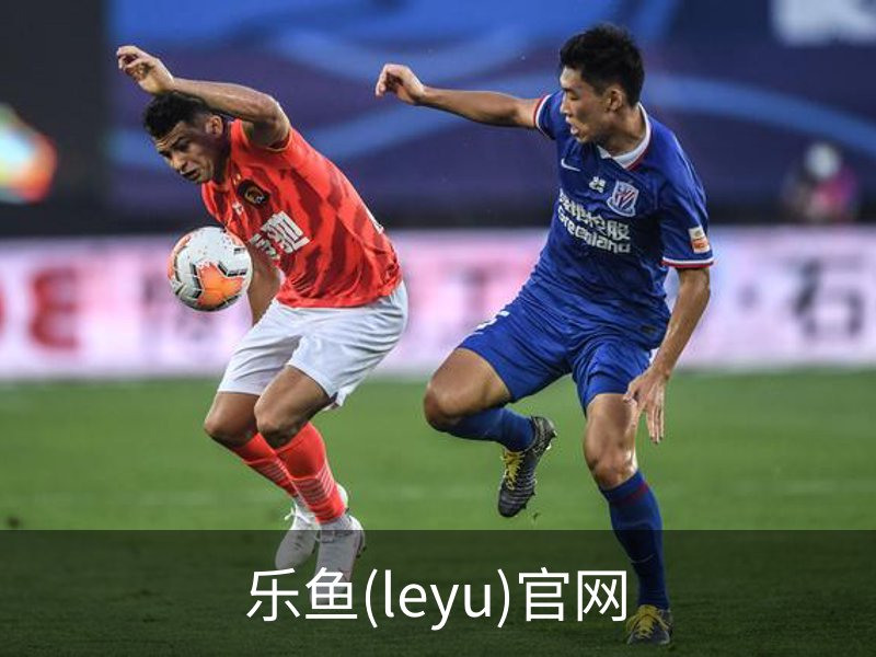 乐鱼(leyu)官网简介